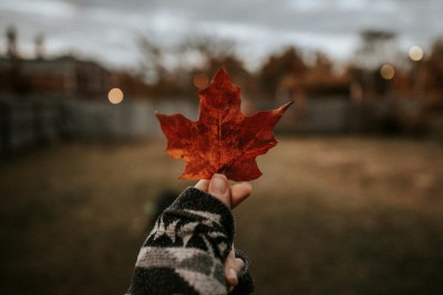 Step-by-Step Guide to Applying for a Student Visa in Canada