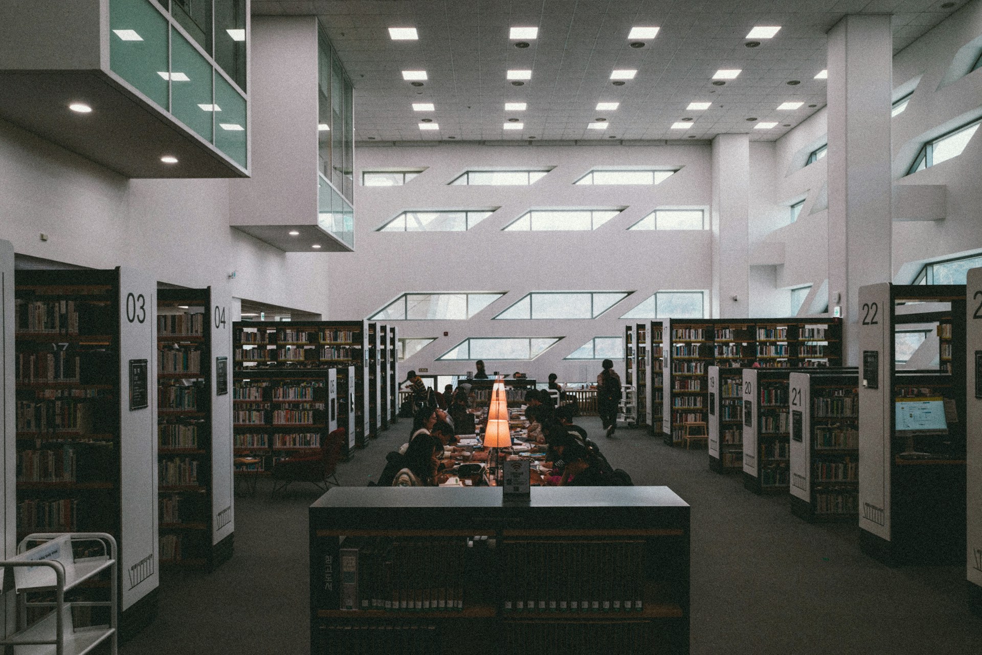 Academic Cultural Adjustments-in-the-USA-1747203641.jpg