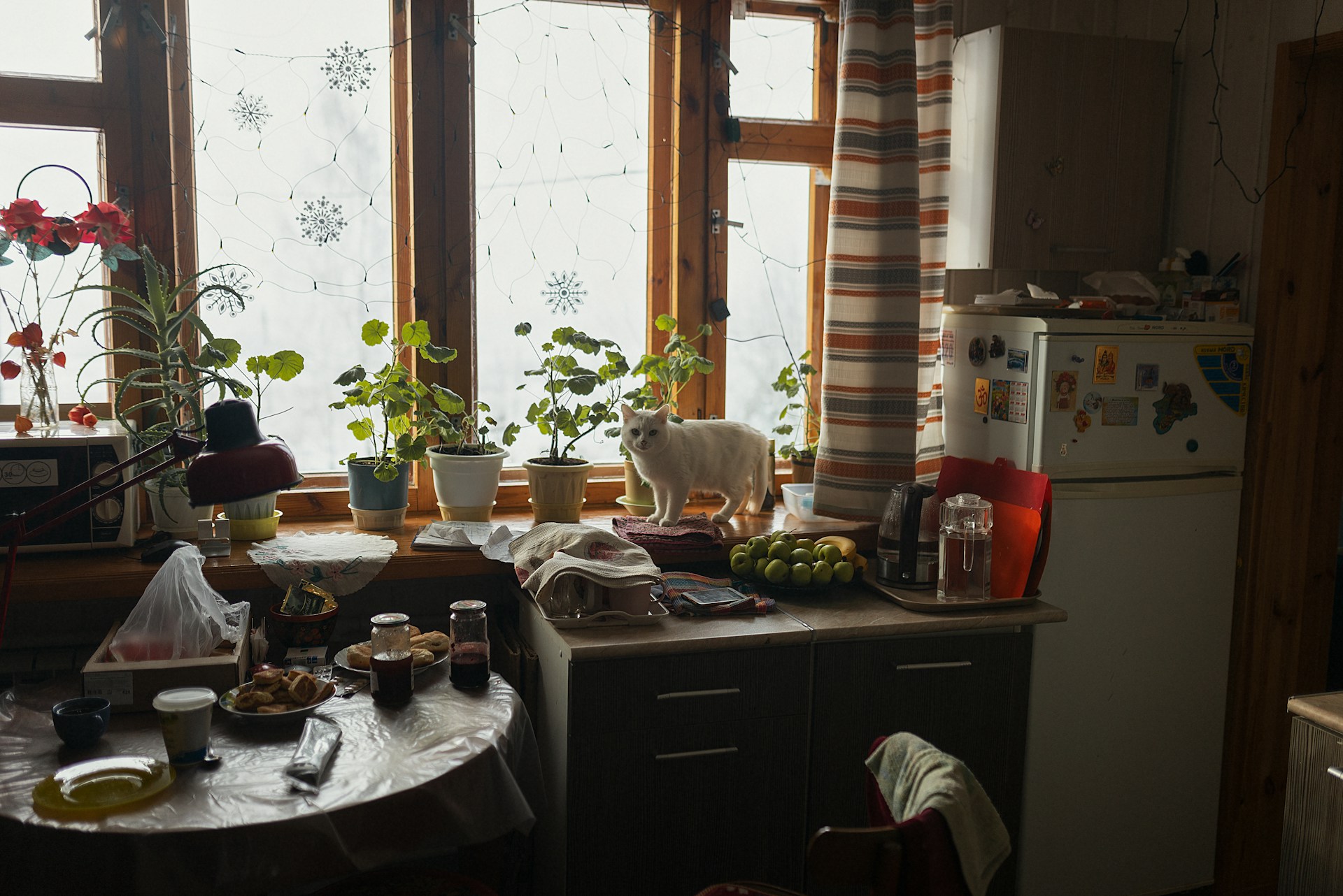 Living in Abroad-with-a-Host-Family-1749111873.jpg