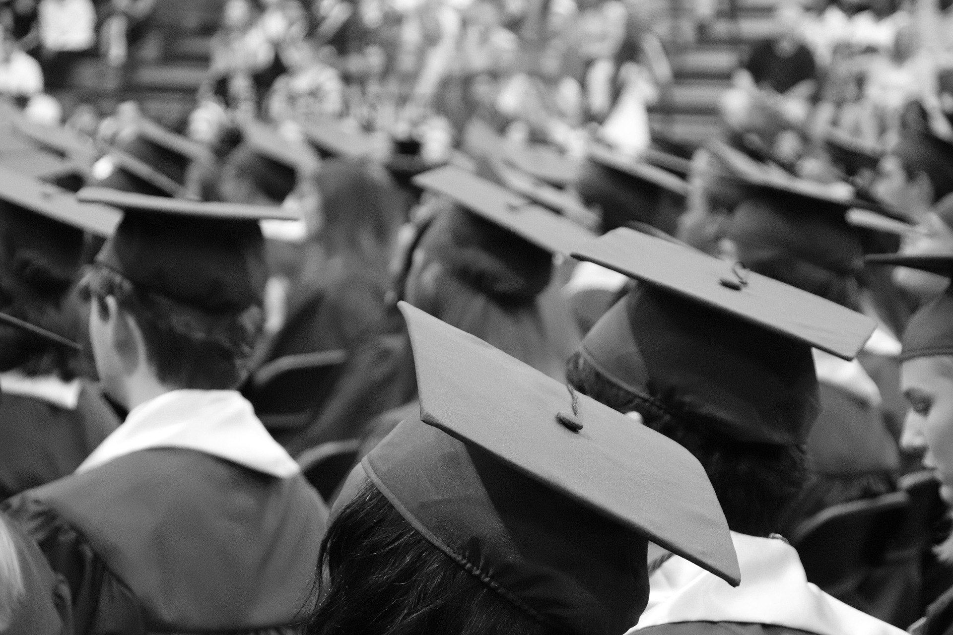 Post Graudation Work Opportunities in Canada-1745319411.jpg