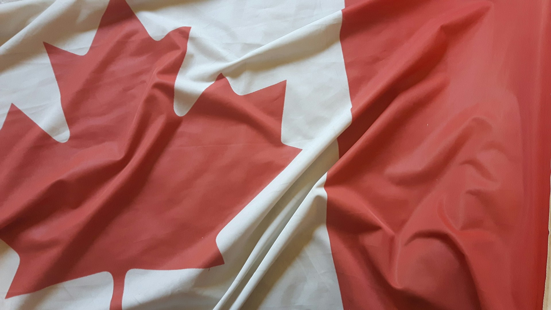Things to Know Before Studying in Canada - Student-Visa-and-Immigration-Process-1756828833.jpg