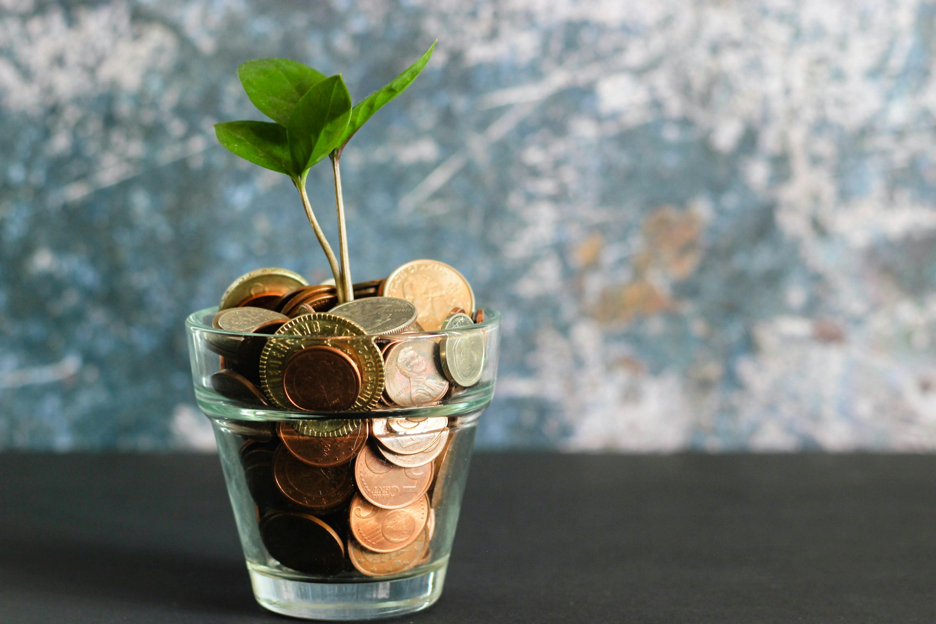 Tips for International Students in Australia---Managing-Your-Finances-Wisely-1751208872.jpg