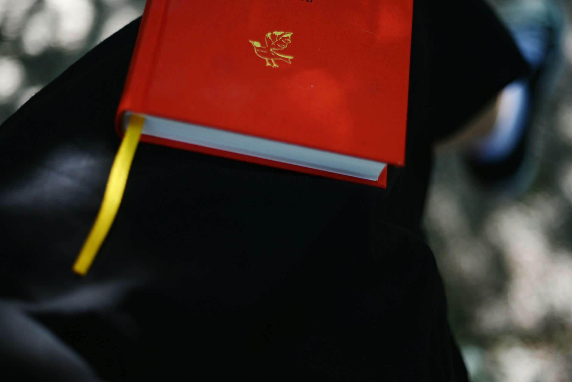 Understanding-the-Student-Visa-(Study-Permit)-1756960712.jpg